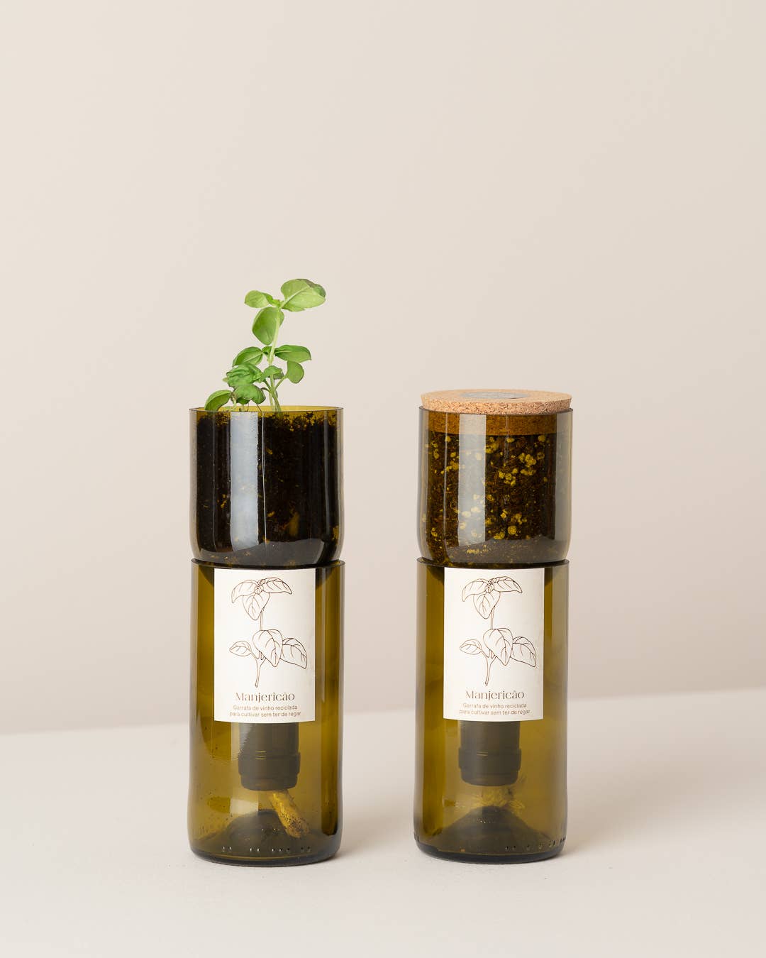 Grow Bottle Basilikum