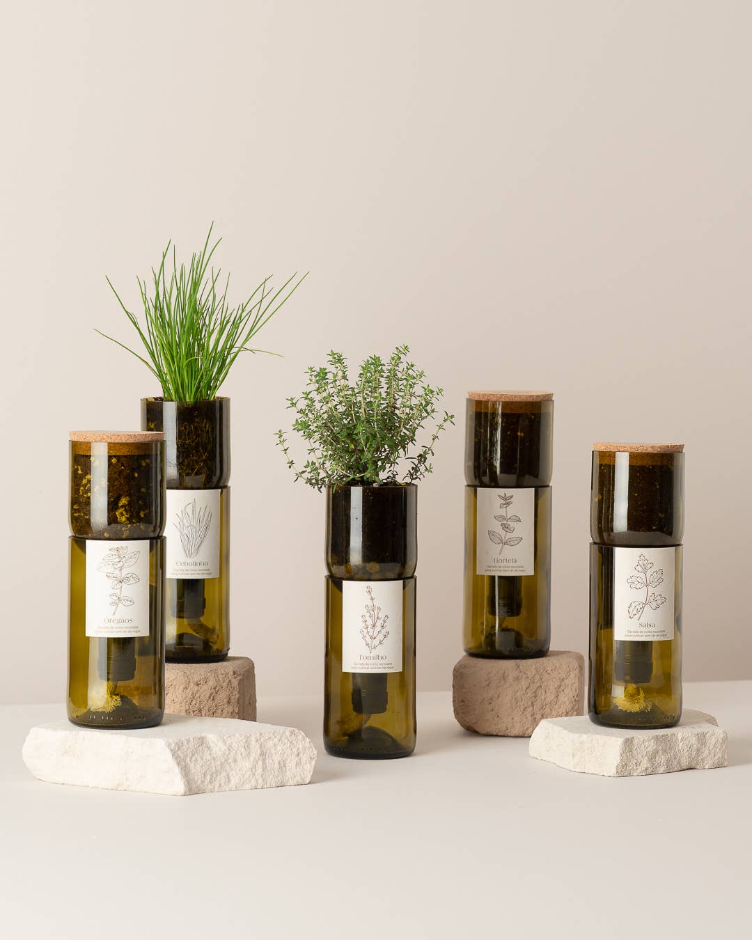 Grow Bottle Basilikum