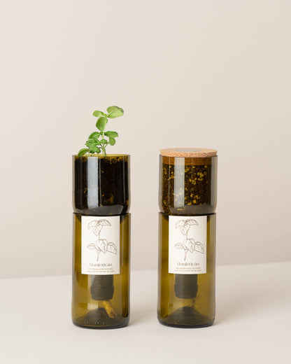 Grow Bottle Basilikum